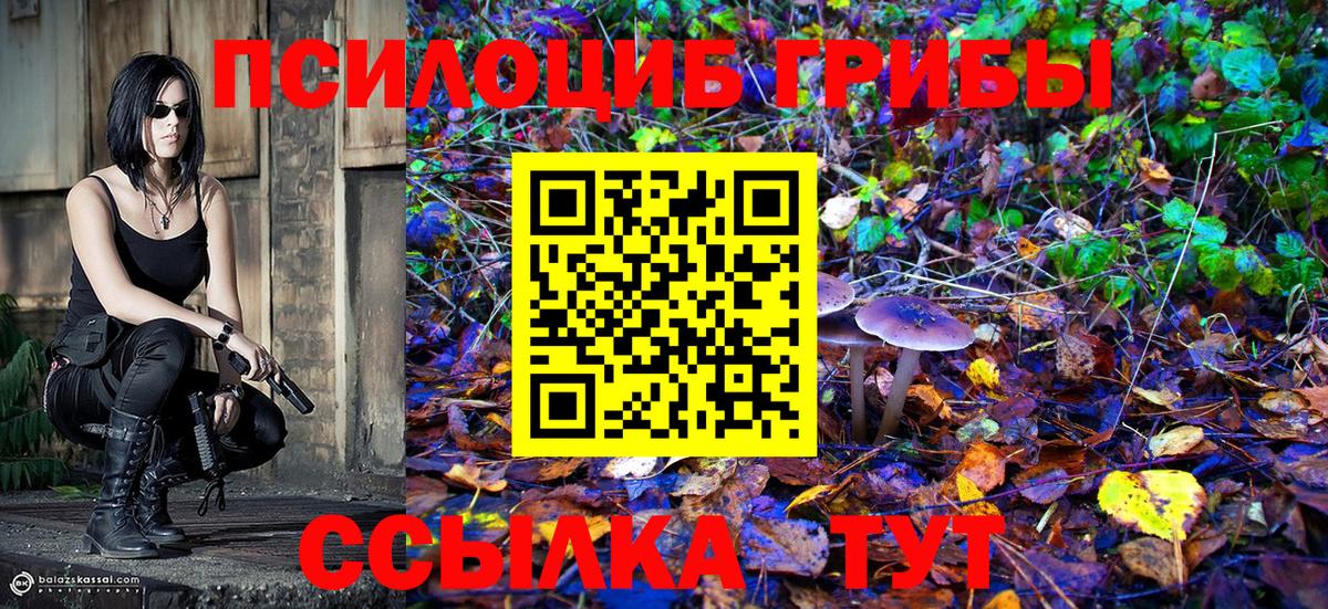 Галлюциногенные грибы ЛСД Знаменск